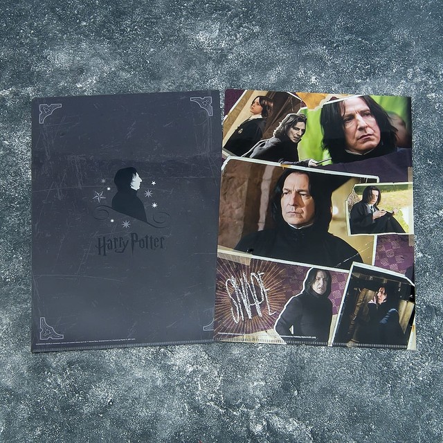 スネイプ先生やシリウスも インロック ハリー ポッター グッズ ライブドアニュース