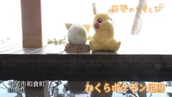 �ƥ�Ӷ���NEWS