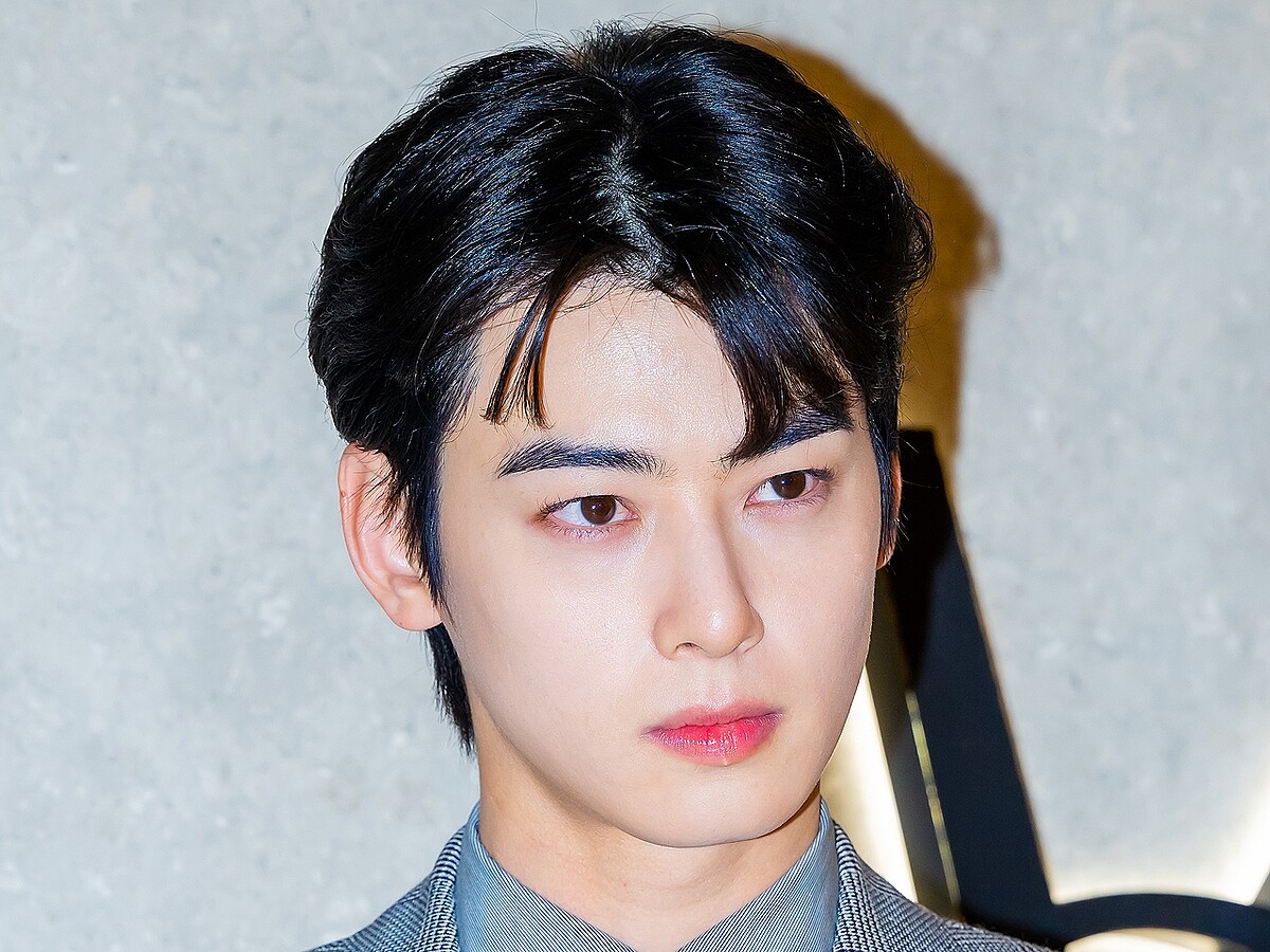 20億円超脱税疑惑のチャウヌ、韓国トップの法律事務所が弁護へ…過去にNewJeans訴訟を担当 - ライブドアニュース