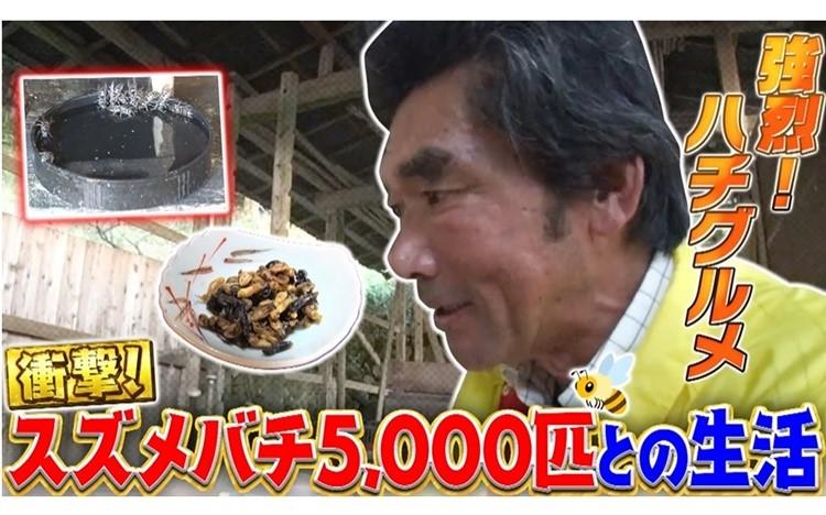 
             衝撃！スズメバチ5000匹と暮らす男 刺されても「至福の時」と語る愛の形：家、ついて行ってイイですか？ 
          