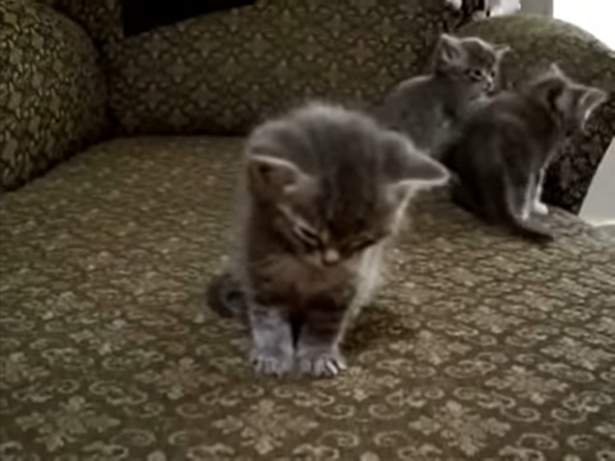 あっ…寝ちゃいそう…