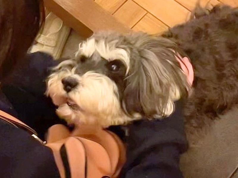 ΰäƱͤȺƲ ФƤ嫤Ѥۤ