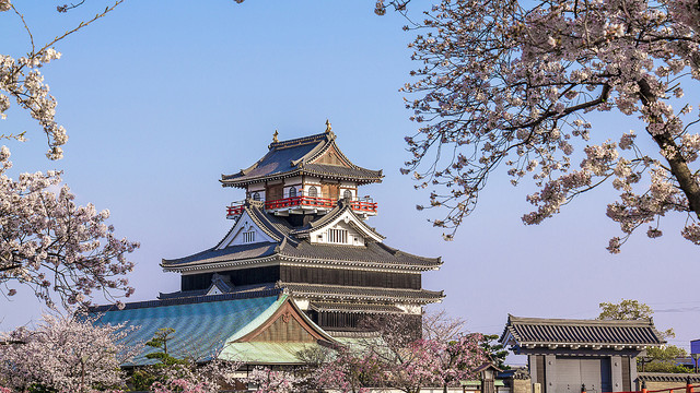 織田信長の快進撃 実力主義の戦国時代をいかにのし上がったか ライブドアニュース