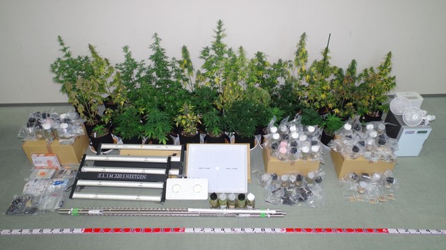 �������ݤ���������Υ��å������������� ��긩�����ؤ�����