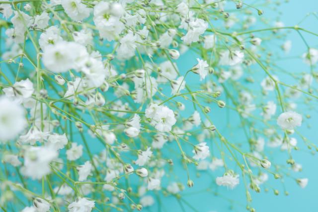 1��13���������ꤤ��12���¥�󥭥󥰡���1�̤ϲ�����