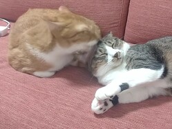 �ֵ����������˥���ġפȻפäƤ����顪