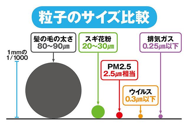 どうやって対策する？黄砂などで「花粉爆発」喘息など重症化も - ライブドアニュース