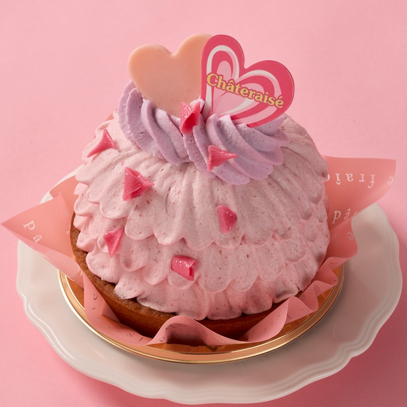 ����ȥ졼���ؤ������ؤ����ٸ�����������ȯ�䡢�֥������ȥե롼�ĥǥ��졼�����ס֥������ȥ٥꡼����ȡ�11��16����11��23��