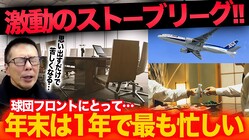 �ΤäƤ��������ץ�����΢¦��11��12��Ϥۤ��������Ե��ץ��ȡ��֥꡼��������ʸ��¤Ȥ�