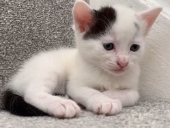 �����ǭ�ϳ��ʤ�����ǡ�