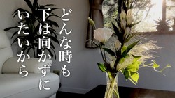 ライフさん、「悲しみが和らぐ時」…丁寧な暮らしの中で受け取ったメッセージ