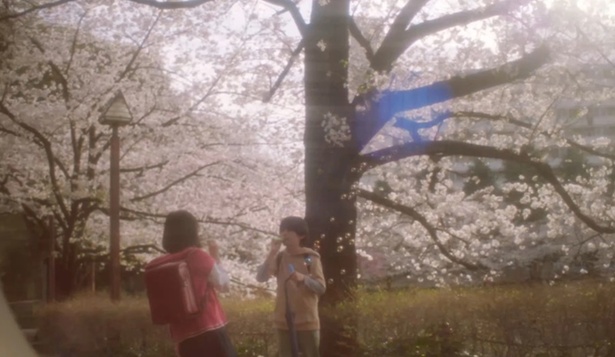 新海誠監督の名作アニメ「秒速5センチメートル」実写映画化