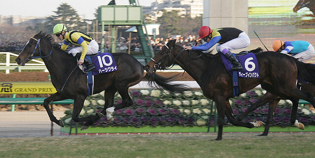 競馬ー激レア》ディープインパクト限定フィギュア／シルバー 競馬 馬