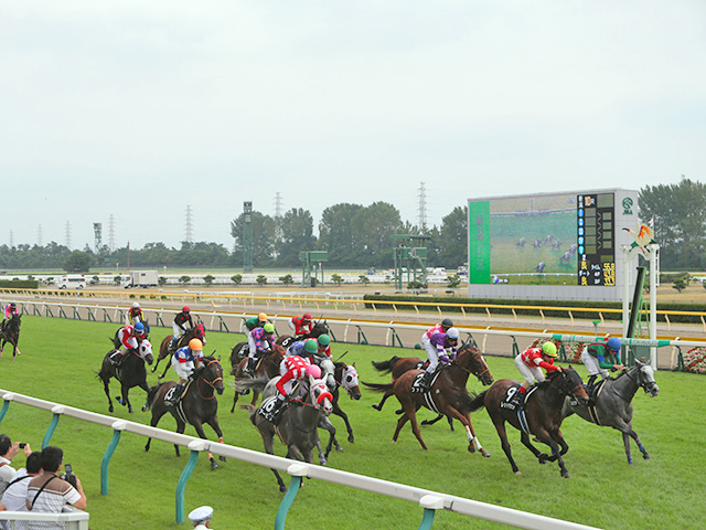 レースが行われた新潟競馬場(c)netkeiba