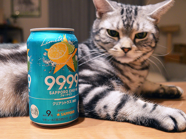 缶チューハイ「99.99」のクリアシトラス味をアイスボックスに注いだら