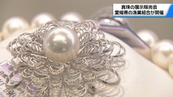�ƥ�Ӷ���NEWS