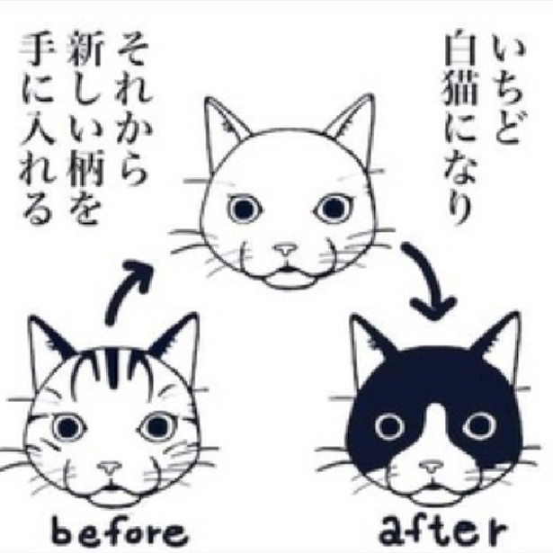 猫は死んだら天国へ...2025年によく読まれた漫画