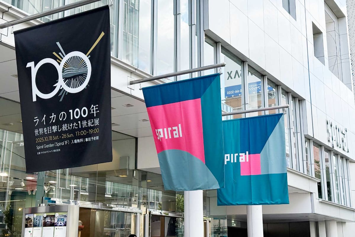 ĻΥѥ륬ーǥǳŤ֥饤100ǯܷ⤷³1