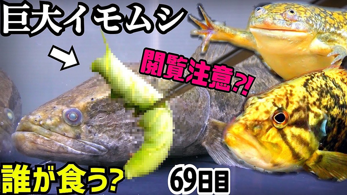 画像が削除されました