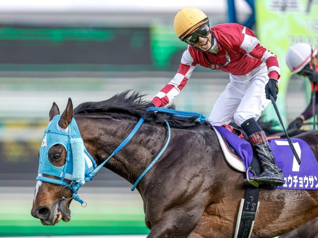 名馬 生写真 写真集 レース写真 種牡馬 競走馬 アルバム 競馬 www