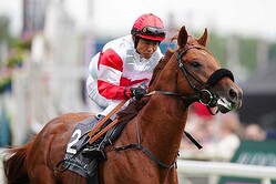 ���Υ�ǥ�����ȸͺ귽������ڼ̿���PA Images/���ե���