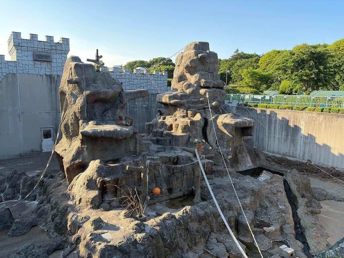 市川市動植物園のサル山(動植物園のXより)。腕章をつけた職員がいたら要注意だ