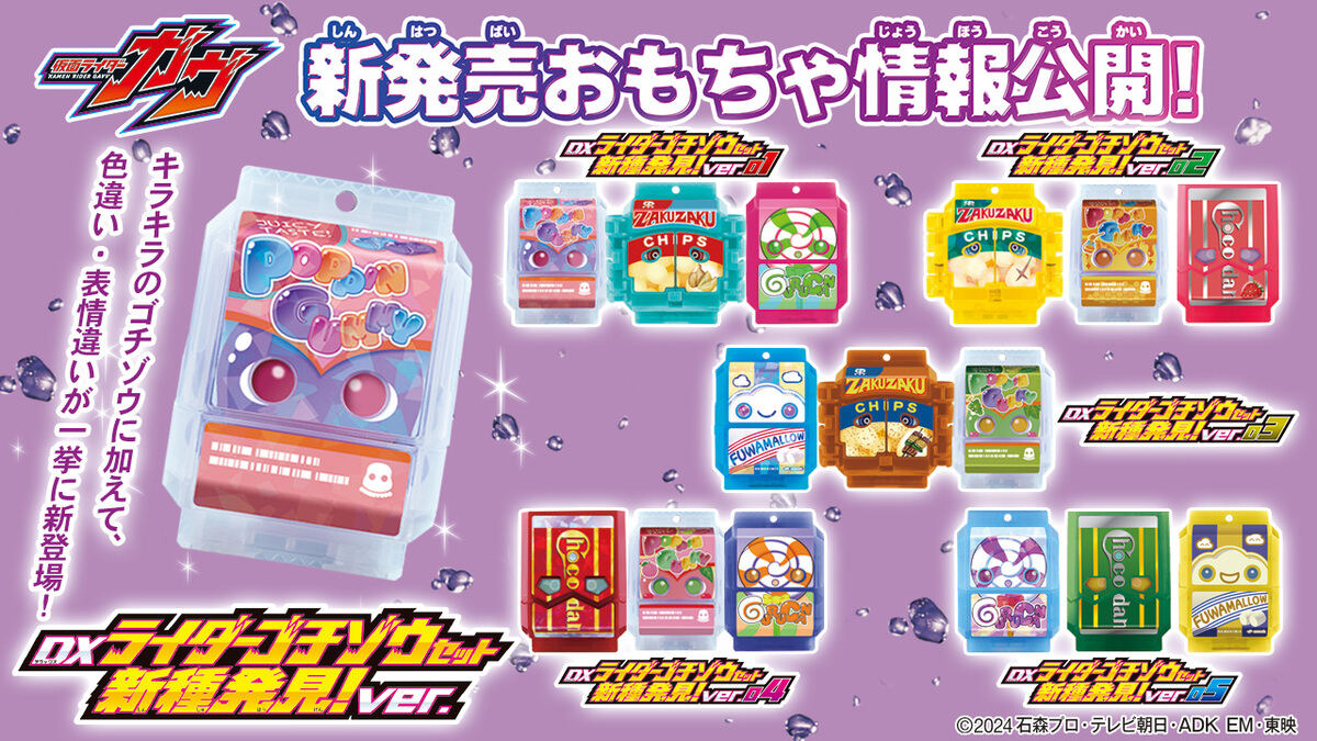 DXライダーゴチゾウシリーズ　新種発見01 表情違い　通常　全12種セット DXライダーゴチゾウシリーズ 新種発見！ver.01｜仮面ライダー