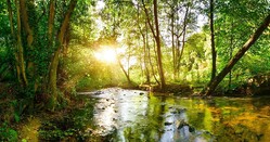 Photo: Adobe Stock