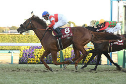 ��ͭ�ϵ�ǰ�ۺ�ǯ�ξ�������ͺ귽������������Υ�ǥ����� �ӥå������ȥ��������