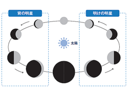 「金星は夜に見えない!?」意外と知らない“明星”の雑学【眠れなくなるほど面白い 図解 天文学の話】