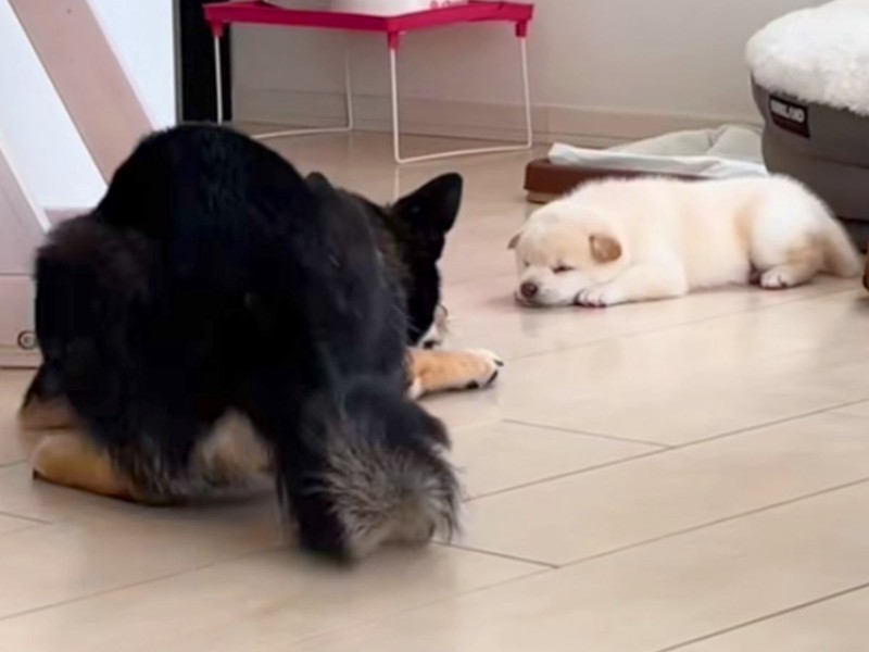 ̲֤󸤤򸫤ĤƤΤ㤵 ߤޤʤɽ