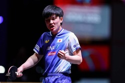 ĥ�����¡�C��ITTF