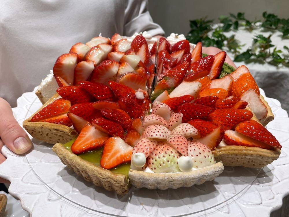 ����ե��ܥ�˥������ε��᤬���衪���񤫤齸�뤷���˾�Υ���������ȡ�����4�ʤ�¿���ӥ塼