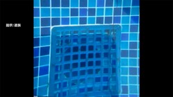 �ס����ӿ���˵ۤ����ޤ�...�����ܿ��˻����꥾���Ȥǻ�˴