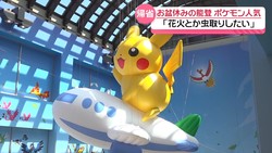�ƥ�Ӷ���NEWS