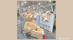 Snsで大人気 コストコのぬいぐるみの値段 種類を紹介 可愛い撮り方も紹介するよ Peachy ライブドアニュース