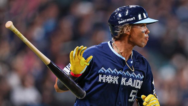 水谷瞬 実使用 手袋 日本ハム 【公式通販】