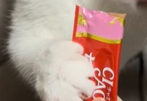 至福だニャ~!『猫生初ちゅーる』愛猫の表情に1.1万いいね「なんて幸せそうなお顔!」「かわいい」【ママリ】