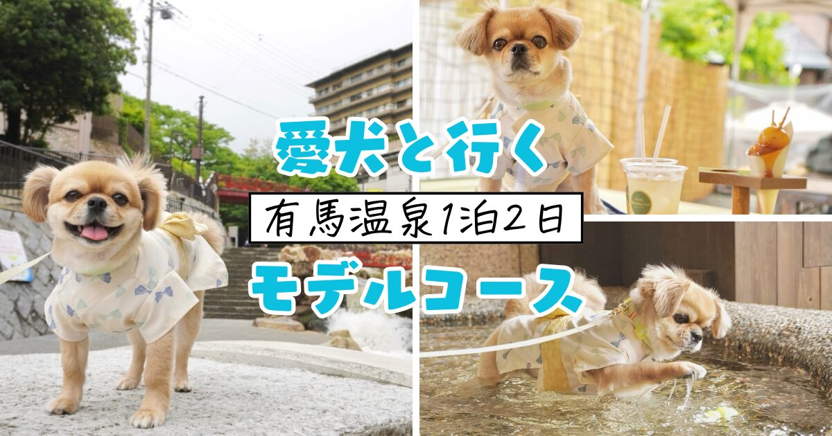 【犬とおでかけ　有馬温泉１泊２日モデルコース】和グルメに和雑貨、老舗ホテルまで、心ゆくまで“和”を楽しむ♪ gis - ギス -～有馬温泉街～有馬 茅店 Bécassine～有馬グランドホテル