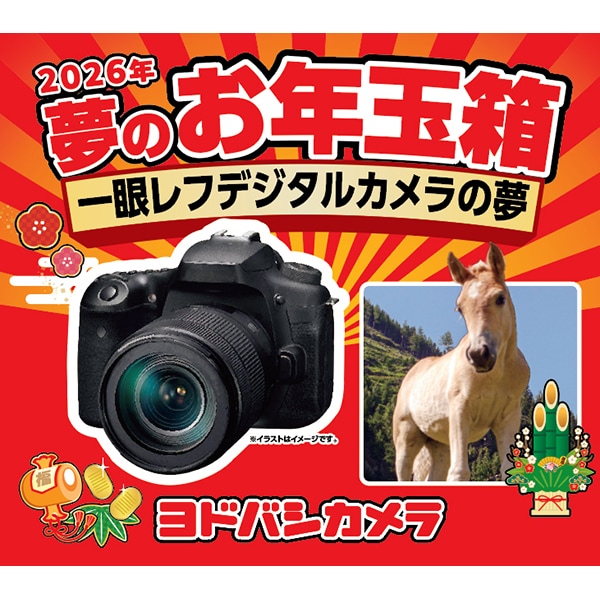 ヨドバシ・ドット・コムにて「2026年 夢のお年玉箱」抽選販売が開催