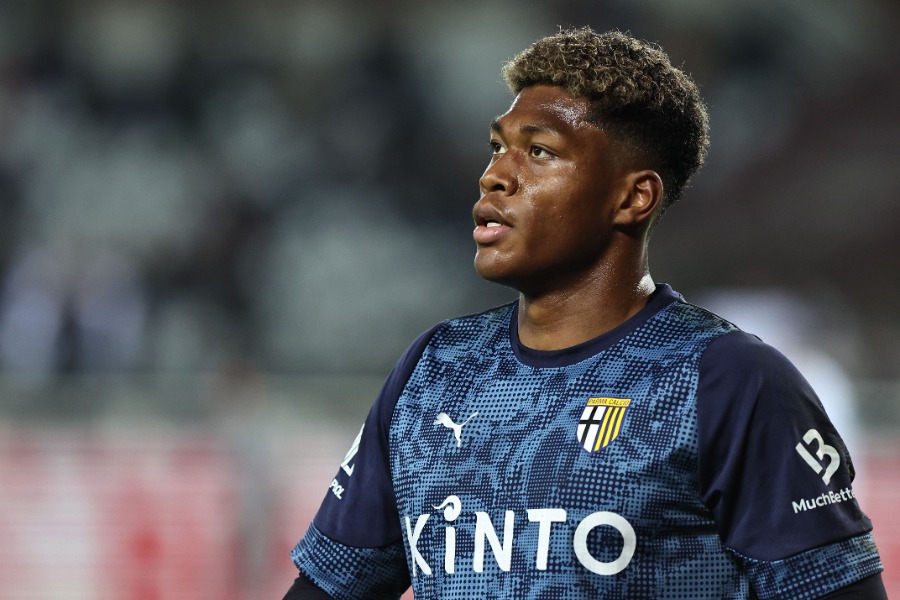 �ѥ�ޤ����ں̱�ڼ̿���REX/���ե���