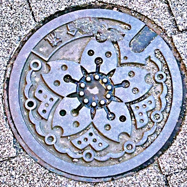 ochichanさん撮影。桜の花をモチーフにした東京都の下水道マンホールのフタ（画像提供：ochichanさん）