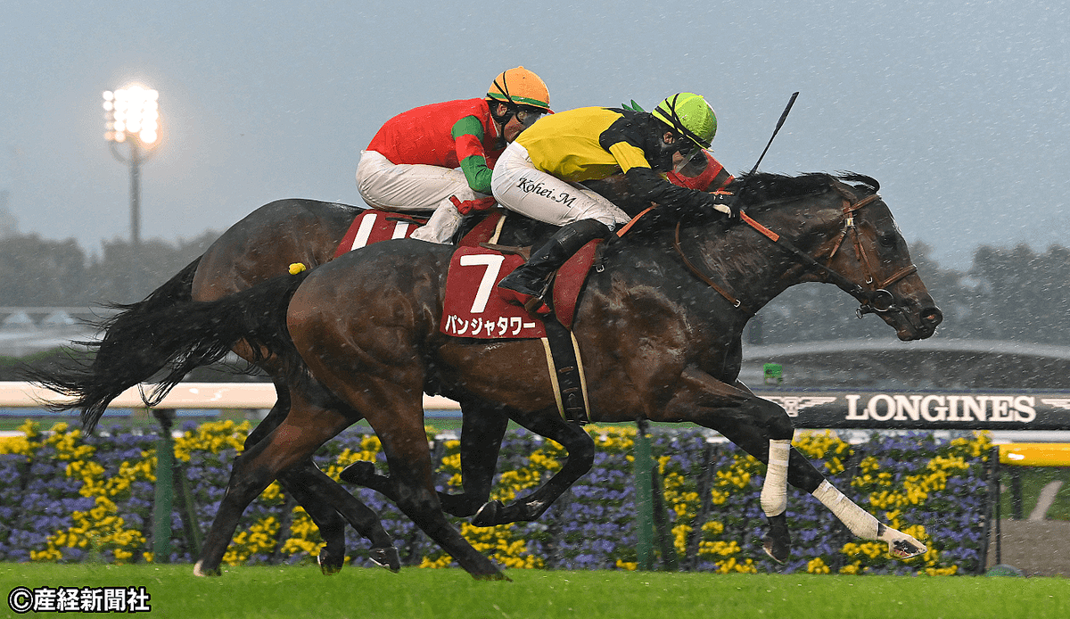 �ڵ����գ��Уӡ۾�̿͵�������䤹���� ���10ǯ�η������鸫����͵�������