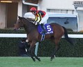 【有馬記念】レガレイラ　連覇ならず4着...