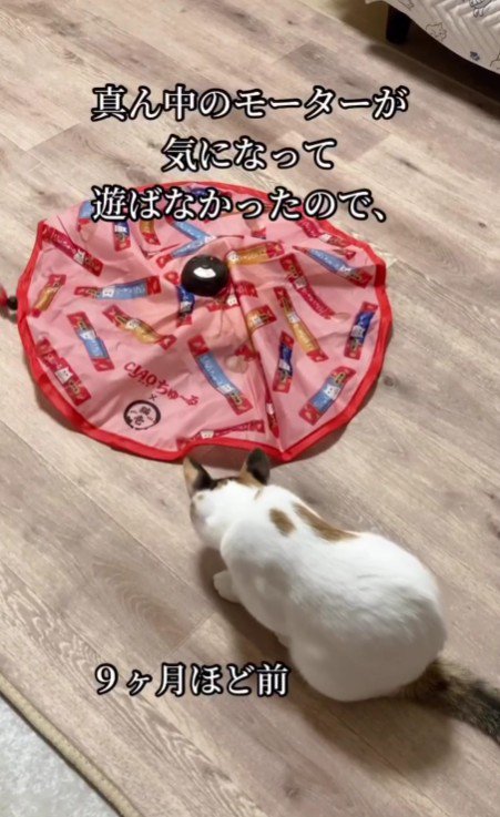 ưǭ餷ȿʡ