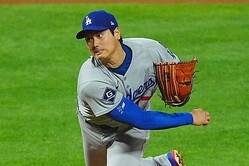 �ե��꡼��������Ĥ����ɥ��㡼������ë��ʿ�ڼ̿�������ʹ�ˡ�