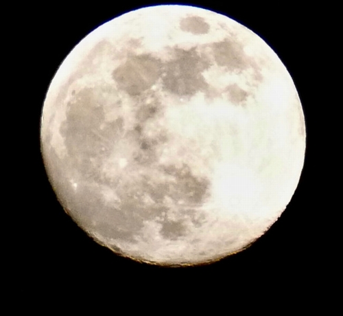 新型コロナのロックダウンで月に影響が?月面気温が急激に低下