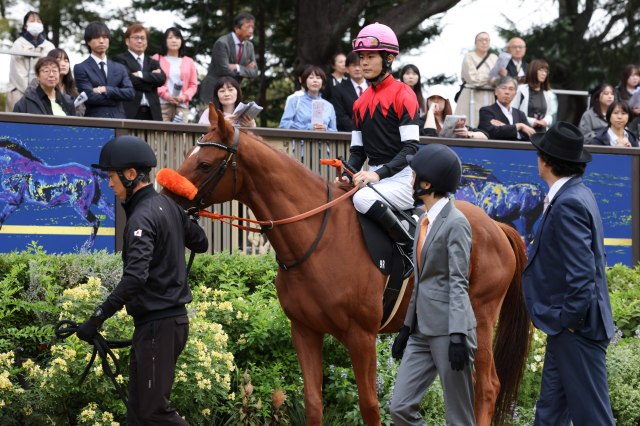 「ザ・ロイヤルファミリー」最終回 ぬいぐるみが話題に「商品化して!」