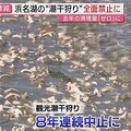 浜名湖でアサリを全面禁漁に