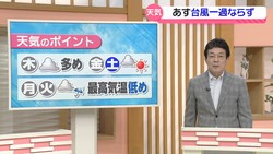�ƥ�Ӷ���NEWS